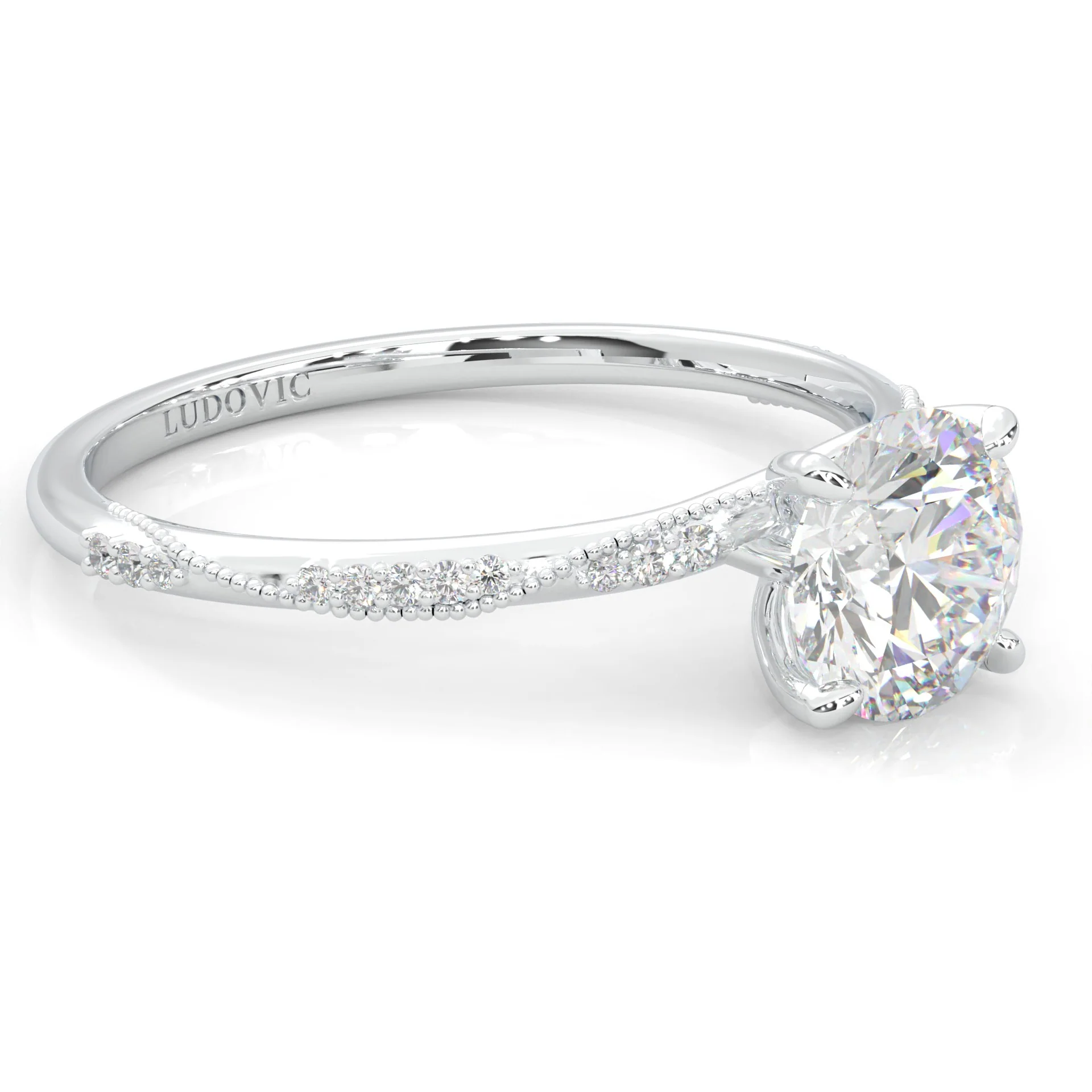 Hidden Twigs Moissanite Engagement Ring (14k Solid Gold) - Image 2