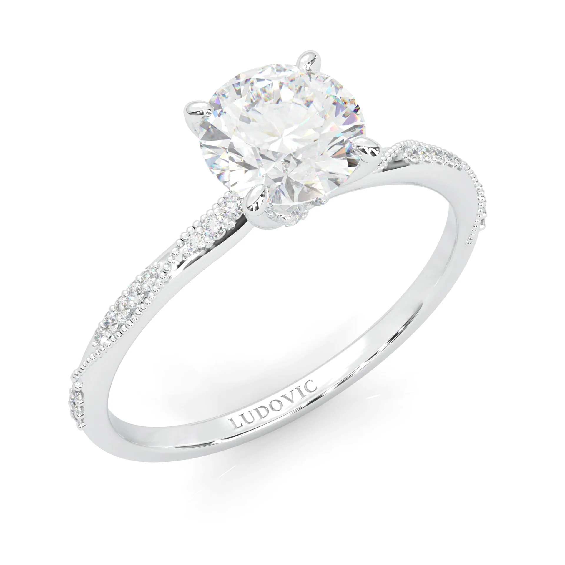 Hidden Twigs Moissanite Engagement Ring (14k Solid Gold) - Image 4