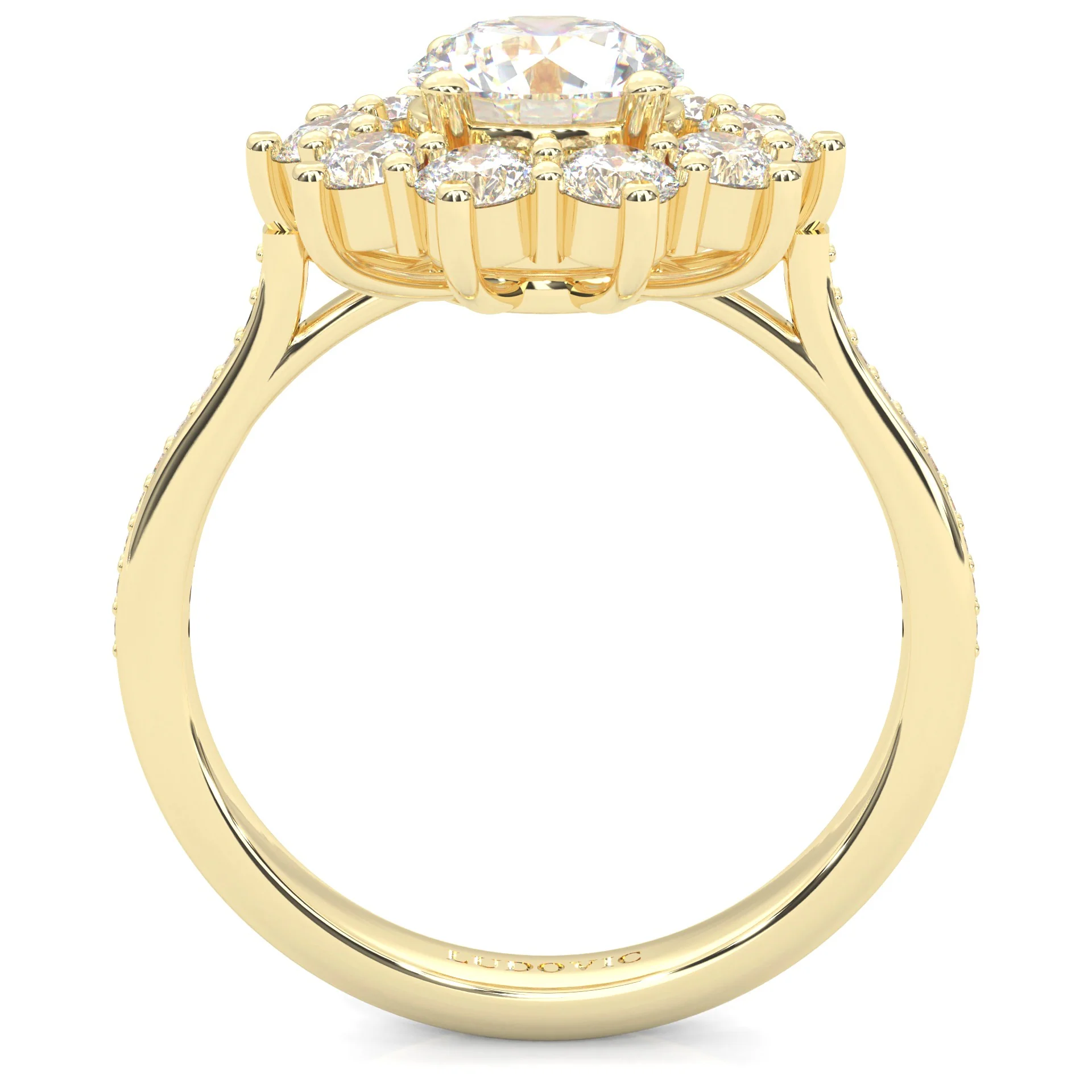 Passion Flower Engagement Ring ( Yellow Gold 14k) - Image 5