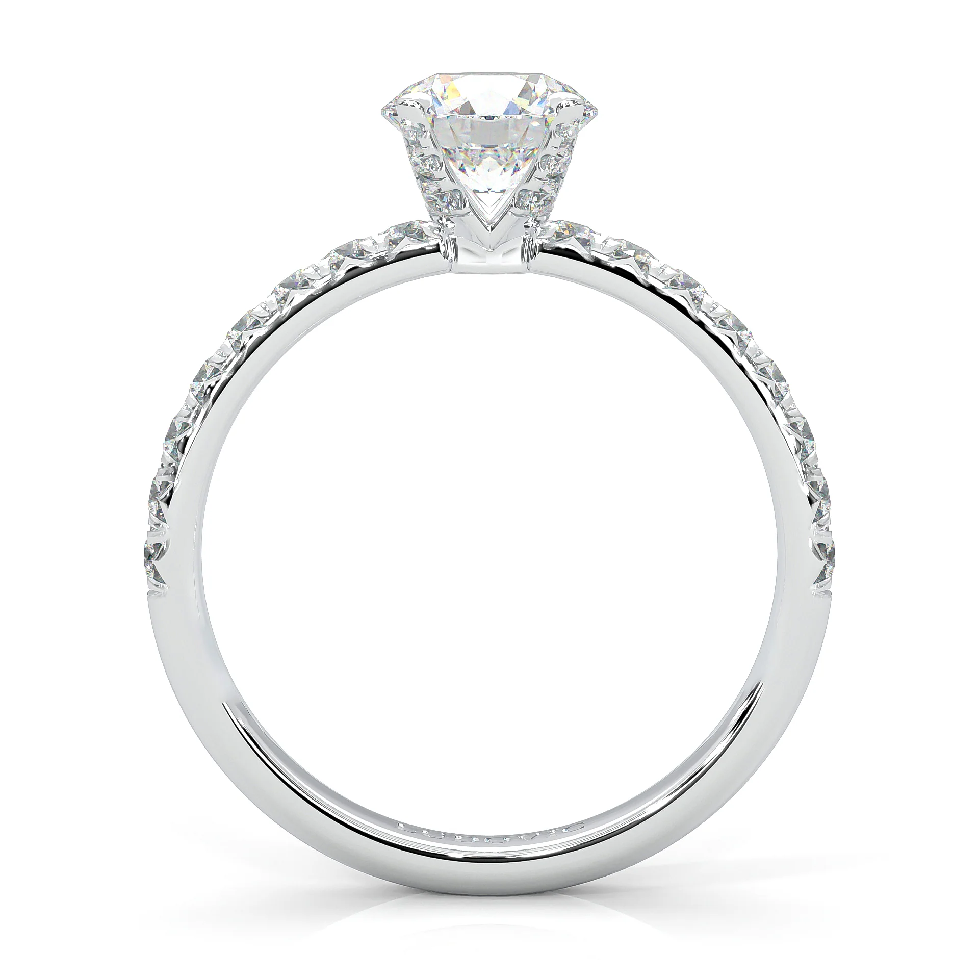 The Precious Vow Pin Moissanite Engagement Ring (14k Solid Gold) - Image 7