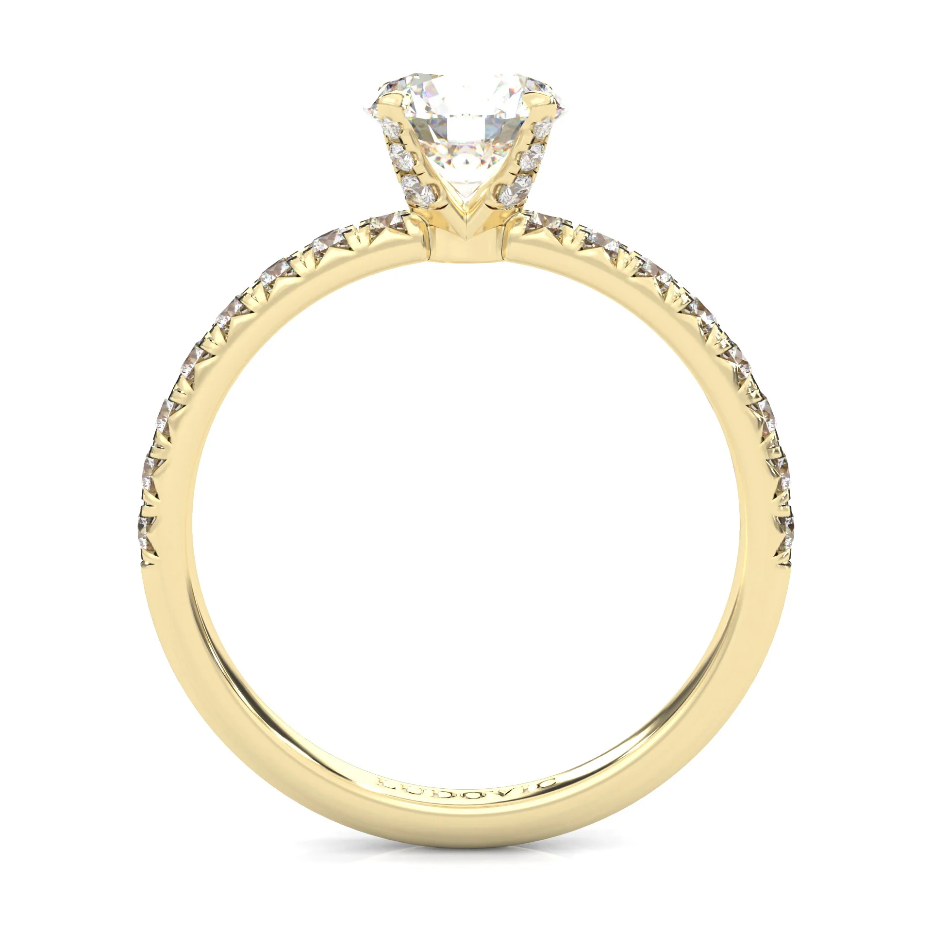 The Precious Vow Pin Moissanite Engagement Ring ( Yellow Gold 14K ) - Image 5