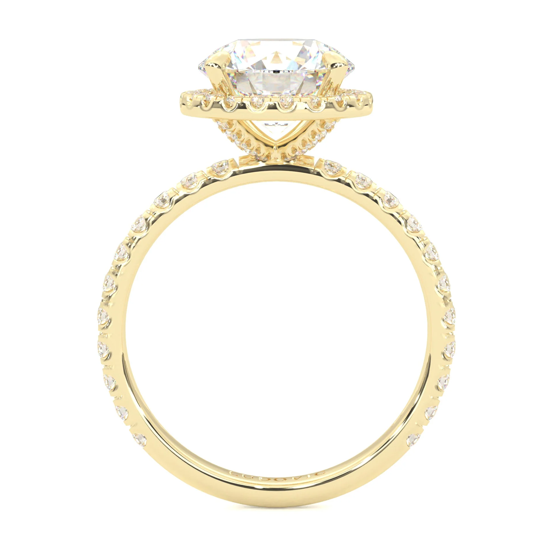 The Tender Riddle Moissanite Engagement Ring ( Yellow Gold 14K ) - Image 5